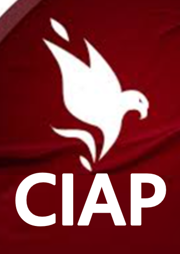 Imagen Tarjeta