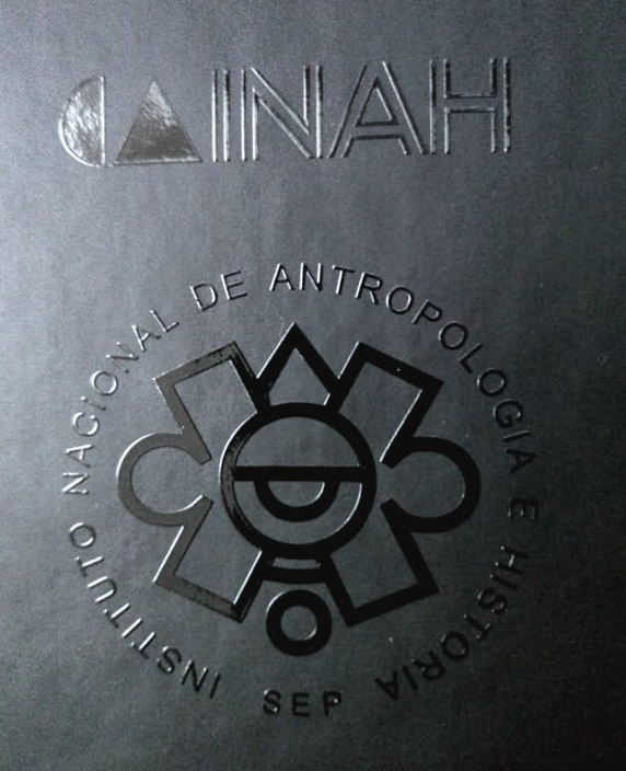 Diseño Profesional 1